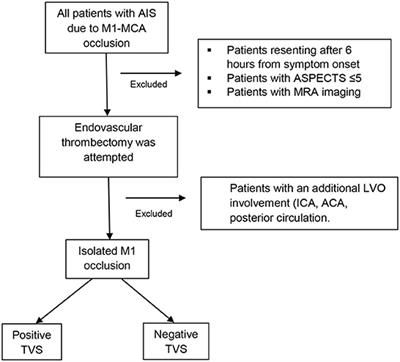 Visualization of both proximal M2-MCA segments in patients (the Tilted-V Sign) with acute M1-MCA occlusion stroke is associated with better procedural and prognostic outcomes